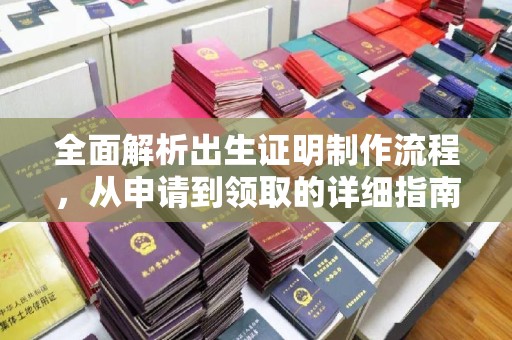白玉全面解析出生证明制作流程，从申请到领取的详细指南