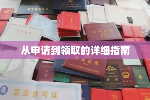 临泉从申请到领取的详细指南